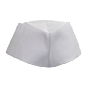 Nehru cap | 20 NOS